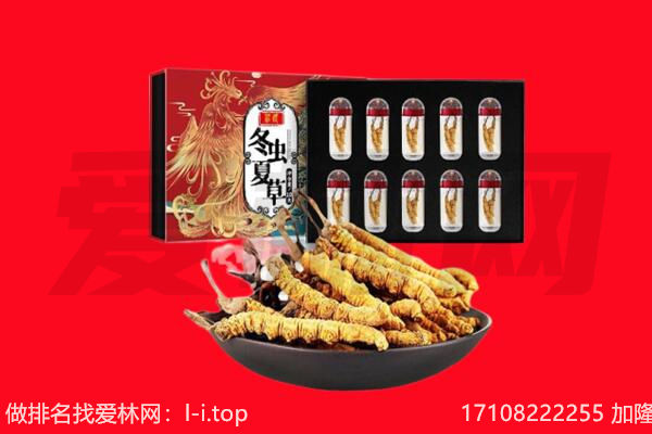 成都武侯区回收虫草.jpg
